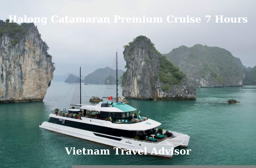 Halong Catamaran Premium Cruise 7 Hours