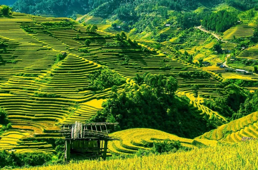 Hanoi Halong Ninh Binh to Pu Luong Tour 6D5N