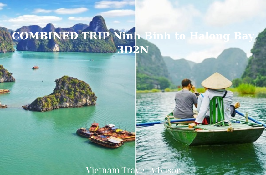 COMBINED TRIP Ninh Binh to Halong Bay 3D2N