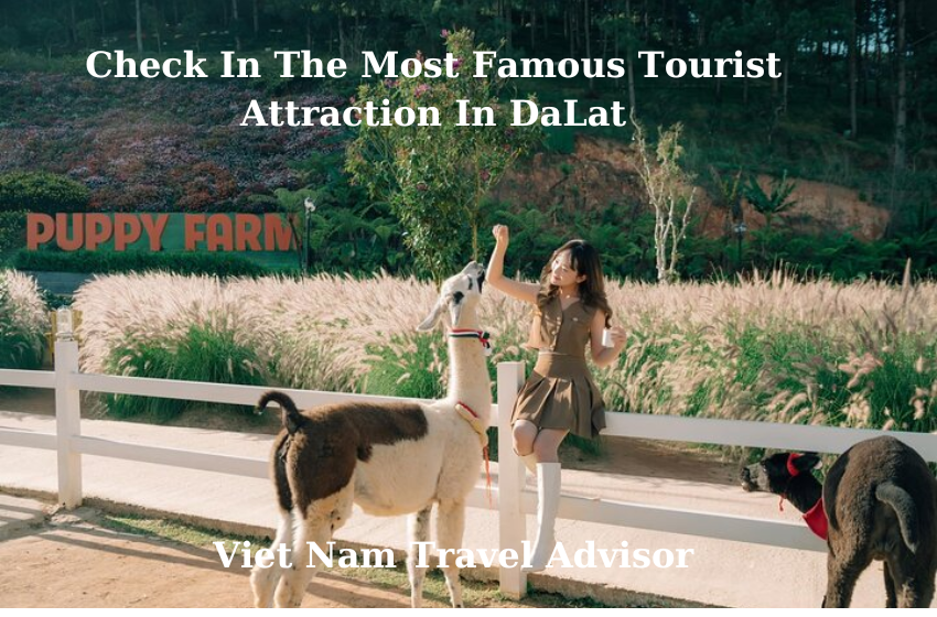 Check in The Most Famous Tourist Attraction in DaLat