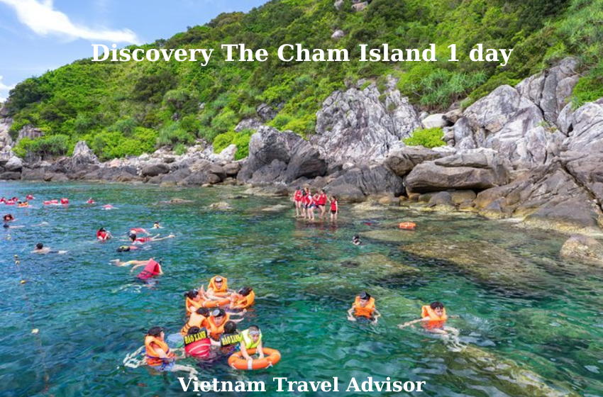 Discovery The Cham Island 1 day