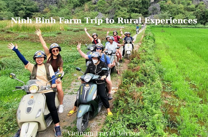 Ninh Binh Farm Trip to Rural Experiences