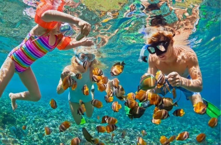 Hanoi Sapa Ban Gioc Waterfall Danang to Hoi An 12D11N
