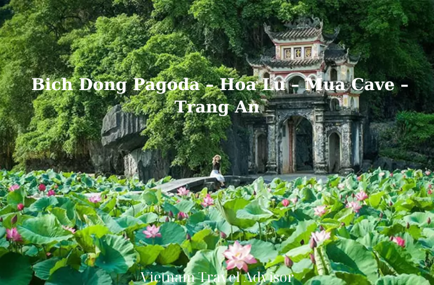 Discover Ninh Binh to Hoa Lu Mua Cave and Trang An Boat Tour
