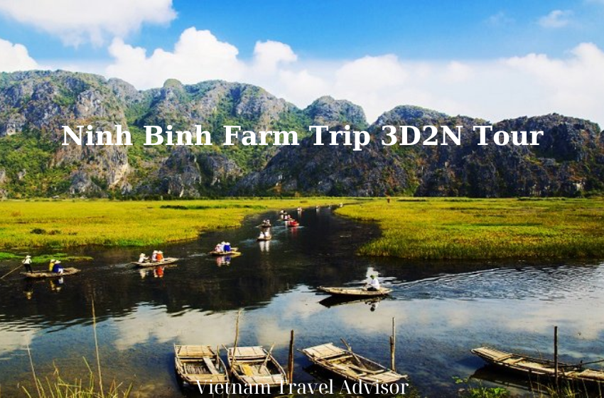 Ninh Binh Farm Trip 3D2N Tour