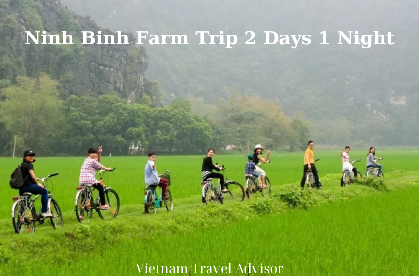Ninh Binh Farm Trip 2 Days 1 Night