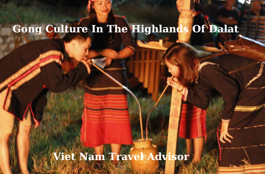 Gong Culture in the Highlands of Dalat