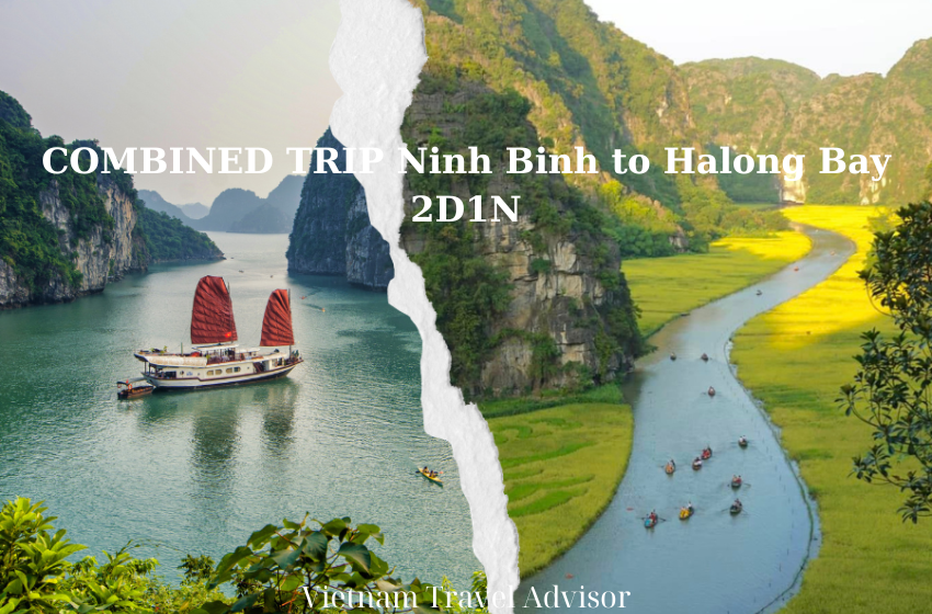 COMBINED Trip Ninh Binh to Halong Bay 2D1N