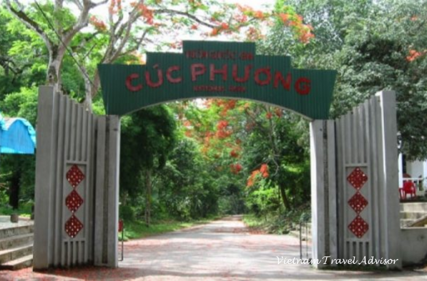 Bai Dinh Pagoda Trang An Cuc Phuong National Park 2 Days 1 Night