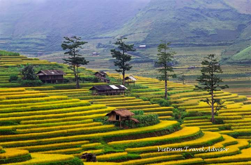 Pu Luong Trekking 2 Days 1 Night Tour