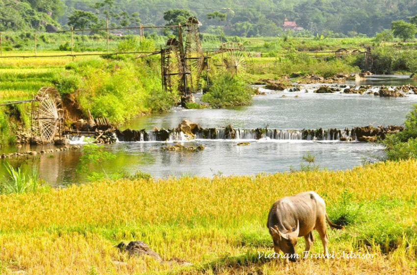 Pu Luong Trekking And Ninh Binh 3 Days 2 Nights