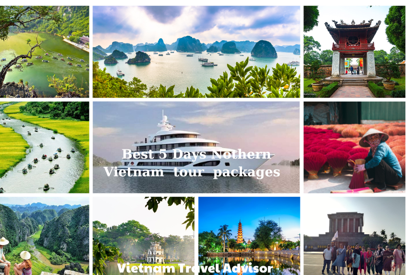 5 Days Hanoi Ninh Binh Halong Bay Overnight on Cruise