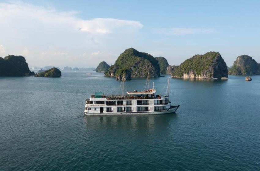 Mila Cruise Halong Bay