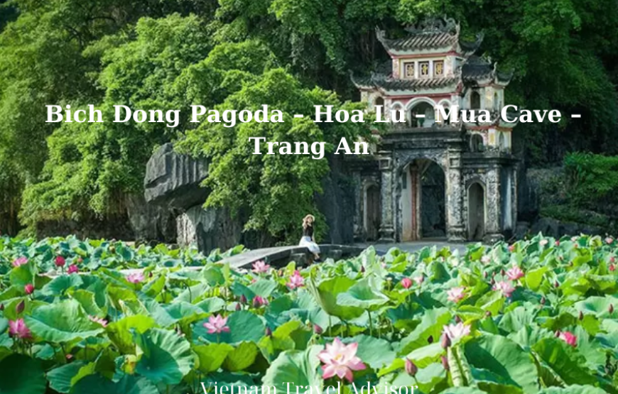 Discover Ninh Binh to Hoa Lu Mua Cave and Trang An Boat Tour