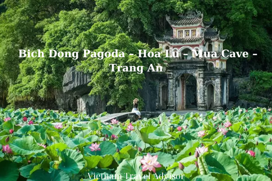 Discover Ninh Binh to Hoa Lu Mua Cave and Trang An Boat Tour