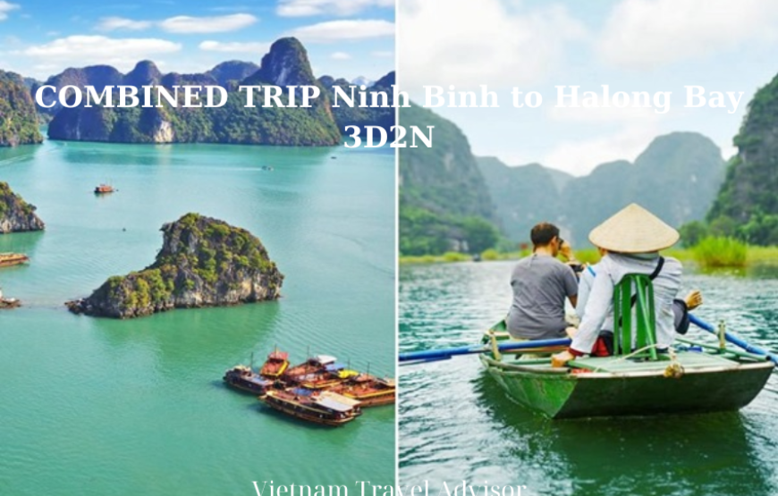 COMBINED TRIP Ninh Binh to Halong Bay 3D2N