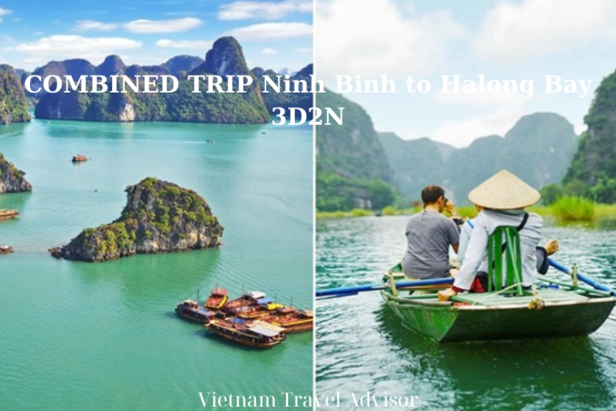 COMBINED TRIP Ninh Binh To Halong Bay 3D2N