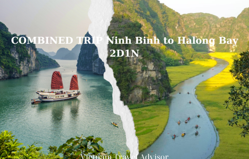 COMBINED Trip Ninh Binh to Halong Bay 2D1N