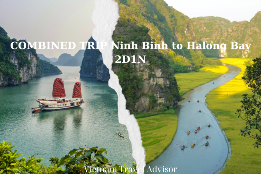 COMBINED Trip Ninh Binh To Halong Bay 2D1N