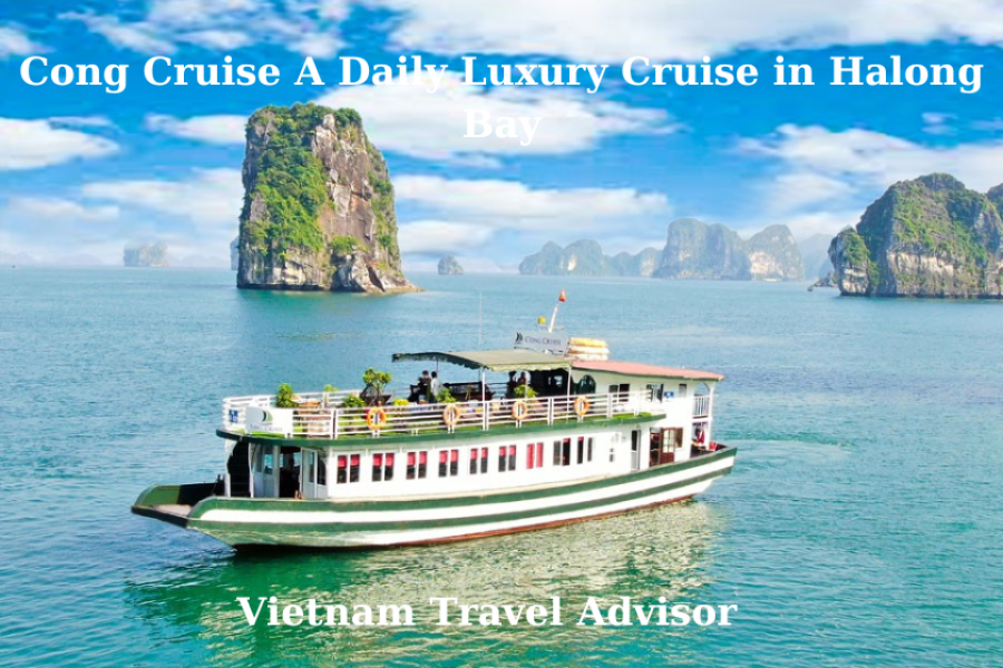 Cong Cruise A Daily Luxury Cruise in Halong Bay