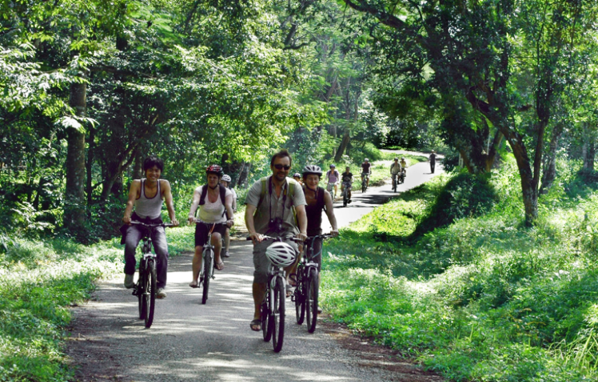 Cuc Phuong National Park Day Tour