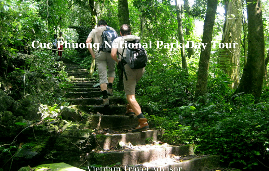 Cuc Phuong National Park Day Tour