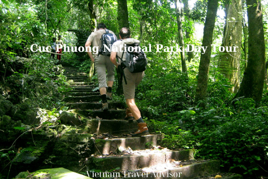 Cuc Phuong National Park Day Tour