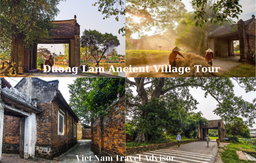 Duong Lam Ancient Village Tour