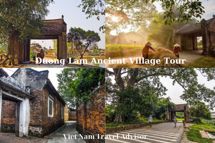 Duong Lam Ancient Village Tour