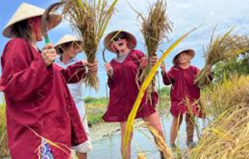 Farming and Fishing Life By Bike in Hoi An Full Day