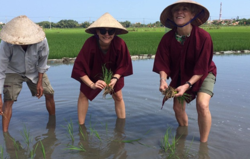 Farming and Fishing Life By Bike in Hoi An Full Day