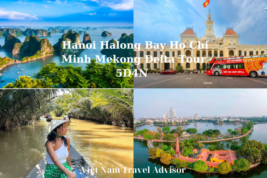 Hanoi Halong Bay Ho Chi Minh Mekong Delta Tour 5D4N