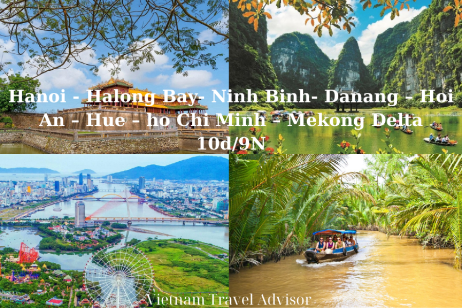 Halong Bay Hoi An and Mekong Delta Tour 10D9N