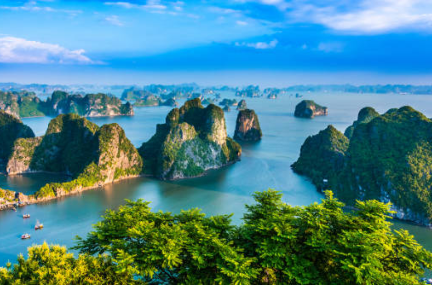 Day 5: Hanoi  – Halong Bay – Surprising cave – Titop Island overnight on cruise [B/L/D] 