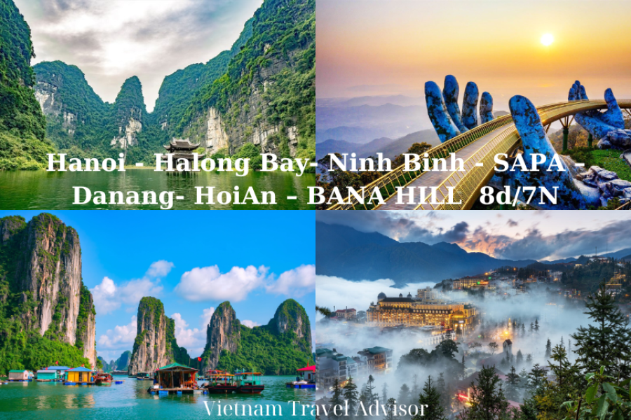 Danang Hoi An Hanoi to Halong Bay Tour 8D7N