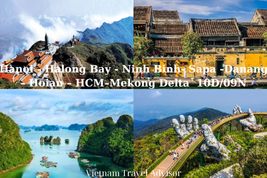 Ho Chi Minh Danang Hanoi Ninh Binh to Sapa Tour 10D9N