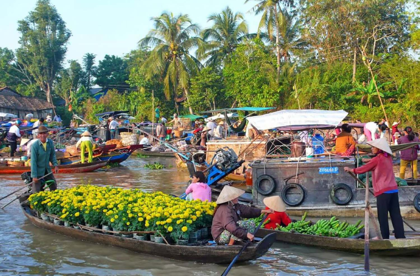  Discover the Magic of the Mekong Delta My Tho Ben Tre Group Tour