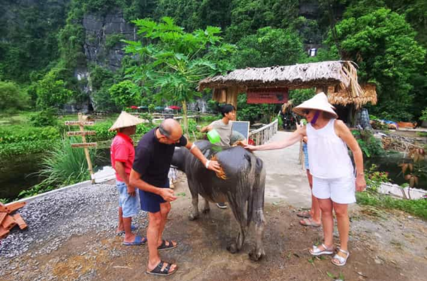 Ninh Binh Farm Trip to Rural Experiences: Discover Authentic Vietnamese Life