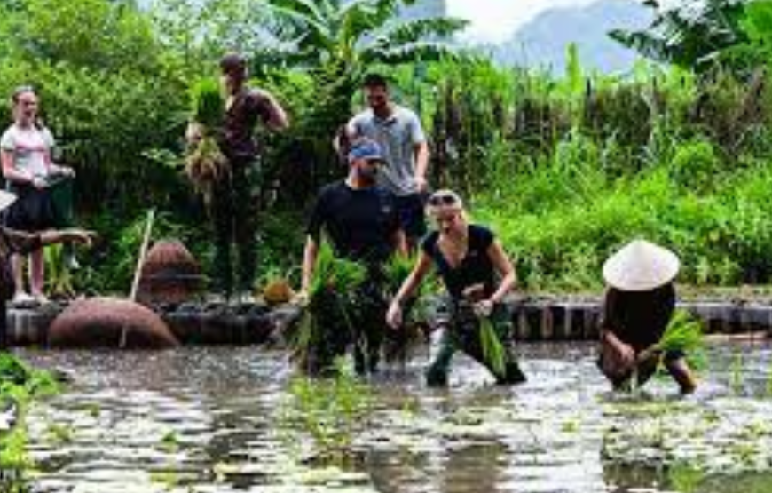 Ninh Binh Farm Trip 2 Days 1 Night