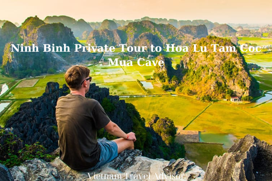 Ninh Binh Private Tour To Hoa Lu Tam Coc Mua Cave