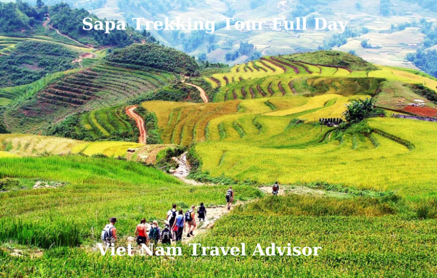 Sapa Trekking Tour Full Day