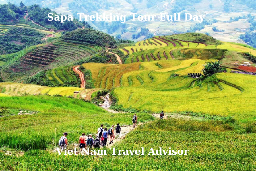 Sapa Trekking Tour Full Day