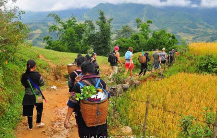 Sapa Trekking Tour from Hanoi By Train 2D1N