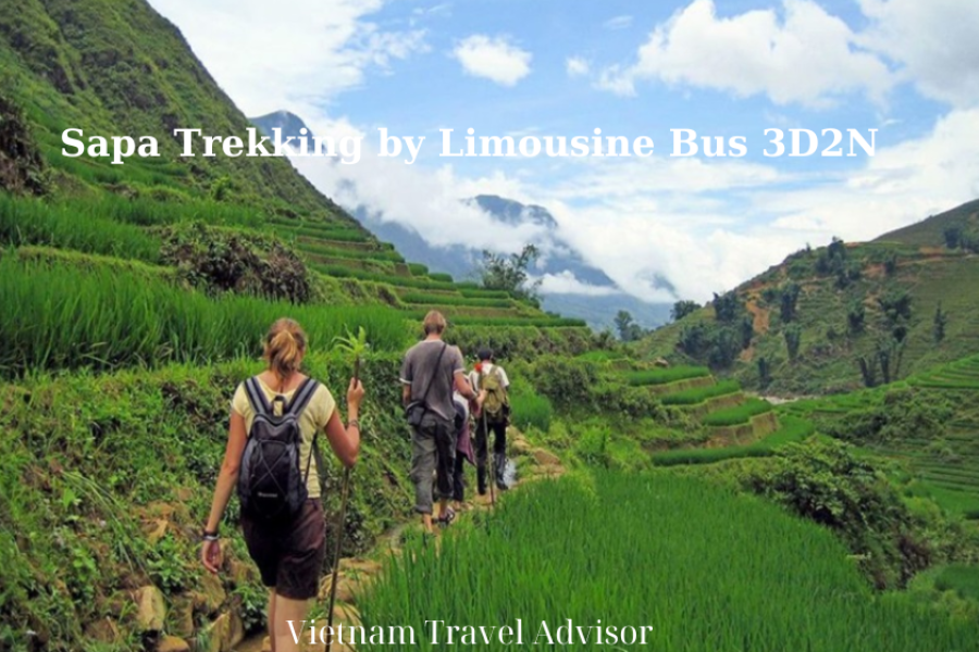 Sapa Trekking by Limousine Bus 3D2N