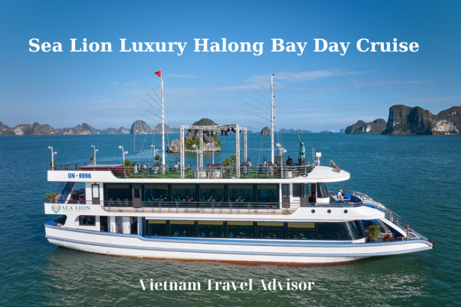 Sea Lion Luxury Halong Bay Day Cruise