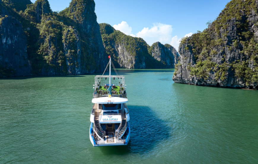 Sea Lion Luxury Halong Bay Day Cruise