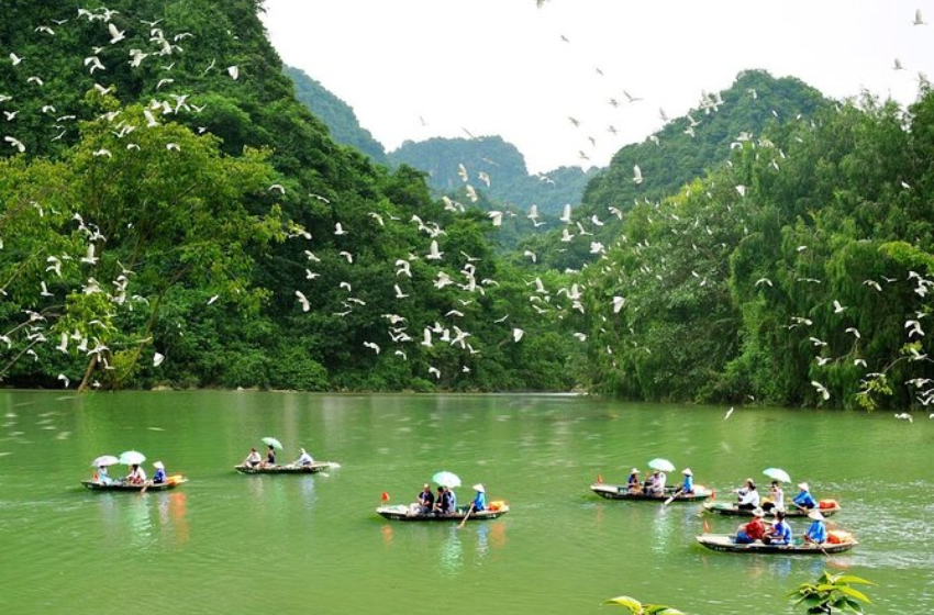 Day 1: Hoa lu Ancient Capital + Tam Coc Boat Trip + Climb Mua Cave (Lunch)