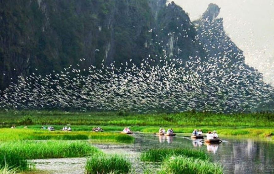 Small Group Ninh Binh 2D1N Tour