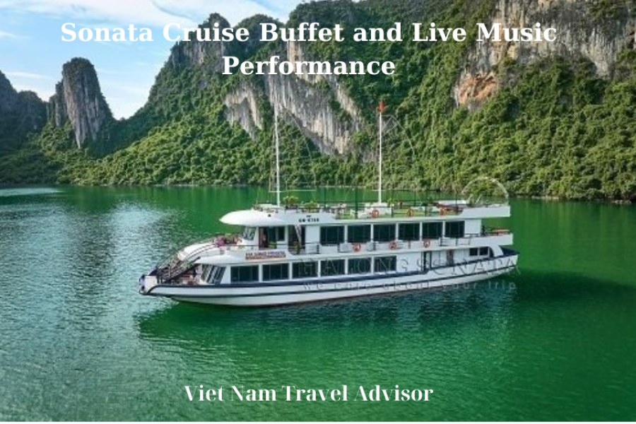 Sonata Cruise Buffet and Live Music Performance