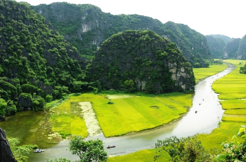 Cuc Phuong National Park Day Tour: A Journey Through Vietnam’s Ancient Forest